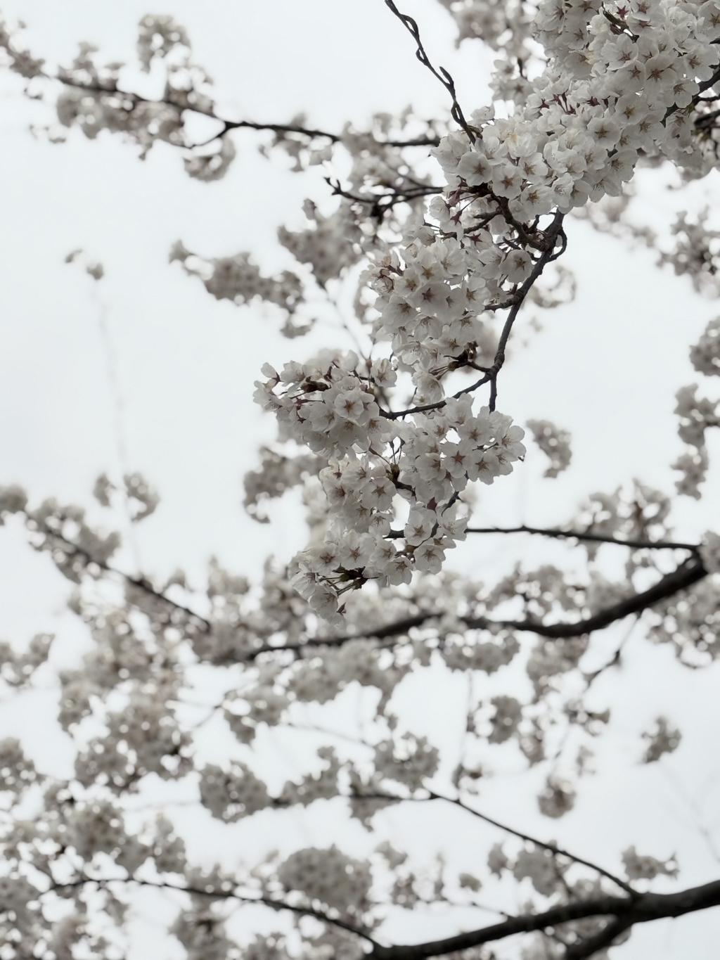 게시글 대표 이미지