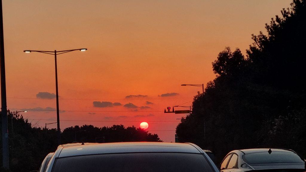 게시글 대표 이미지