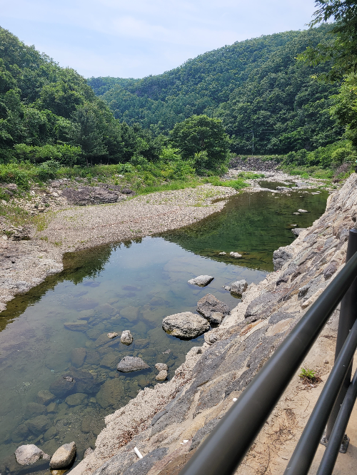 게시글 대표 이미지