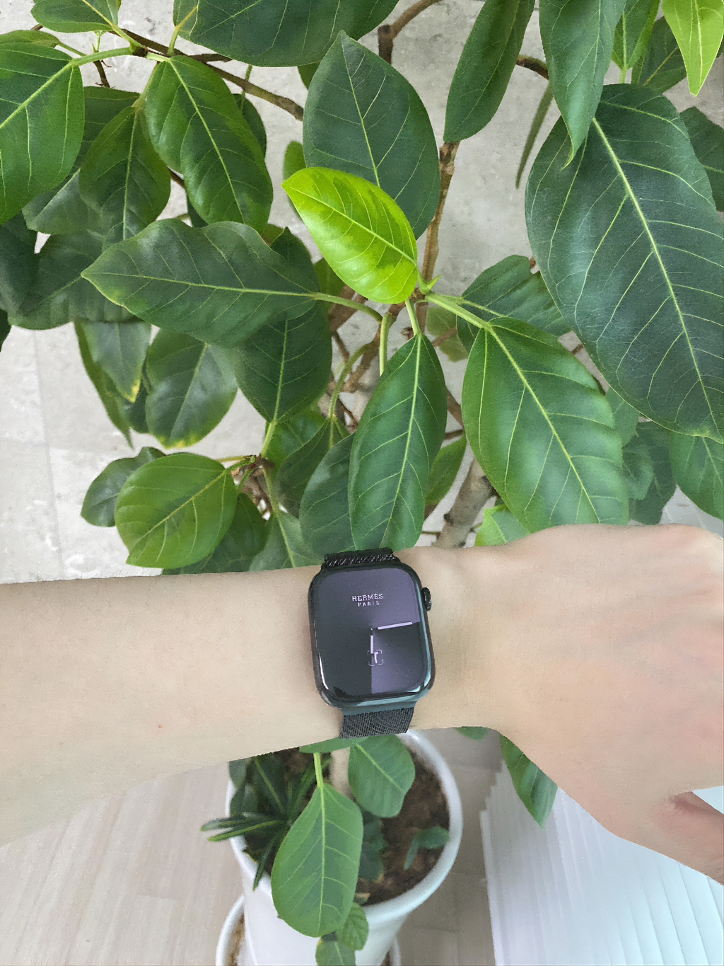 게시글 대표 이미지