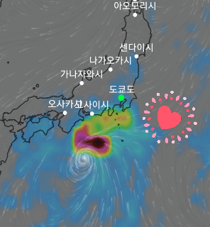 게시글 대표 이미지