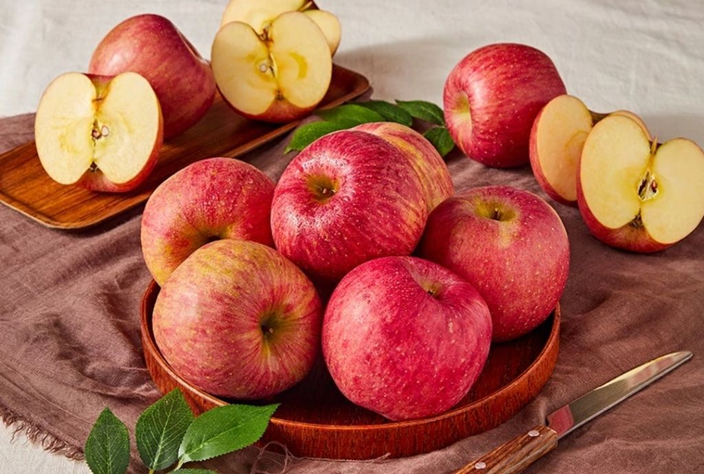 게시글 대표 이미지