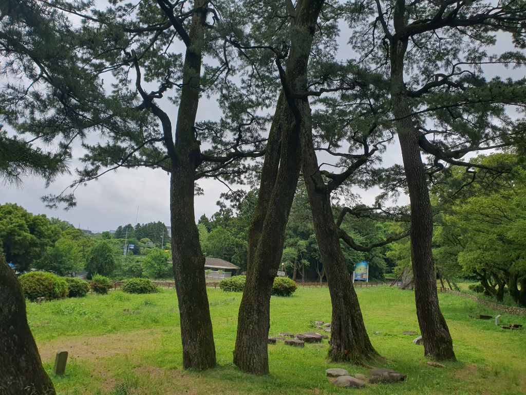 게시글 대표 이미지