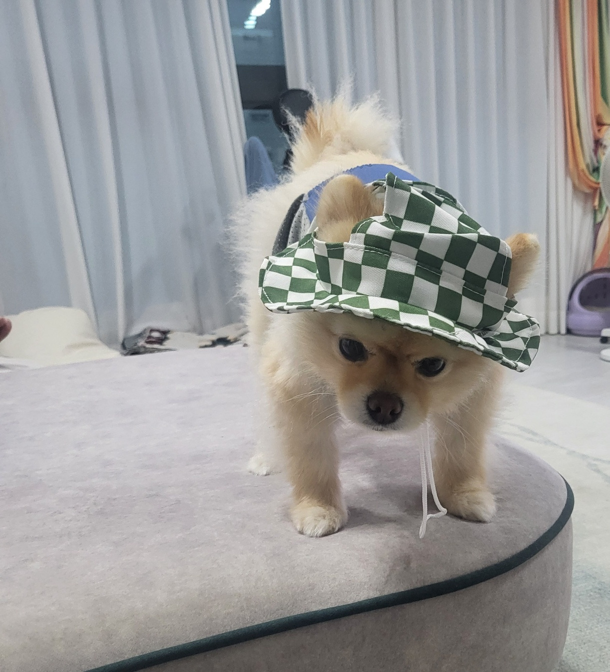 게시글 대표 이미지