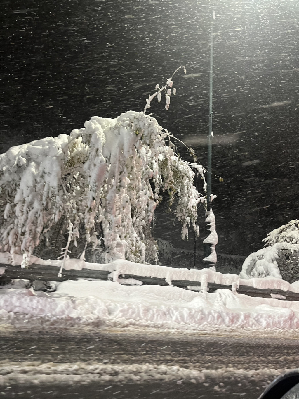 게시글 대표 이미지