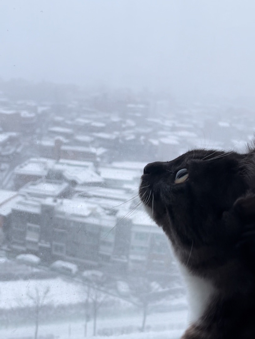 게시글 대표 이미지