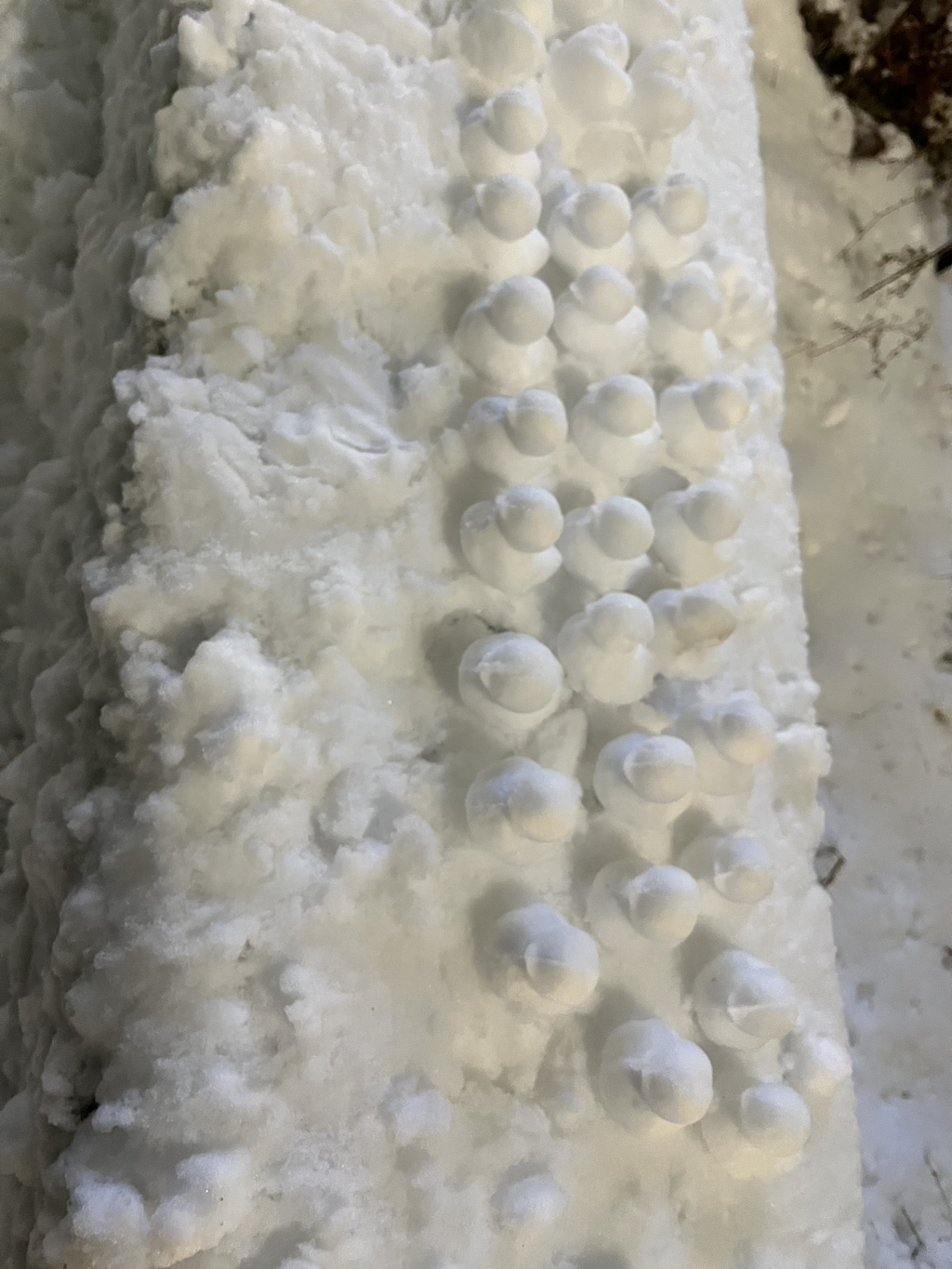 게시글 대표 이미지