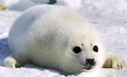 게시글 대표 이미지