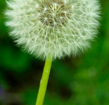 게시글 대표 이미지