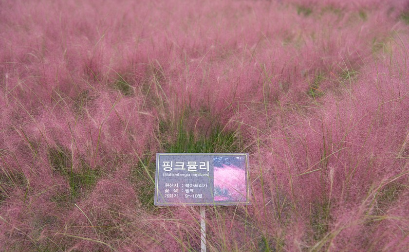 게시글 대표 이미지