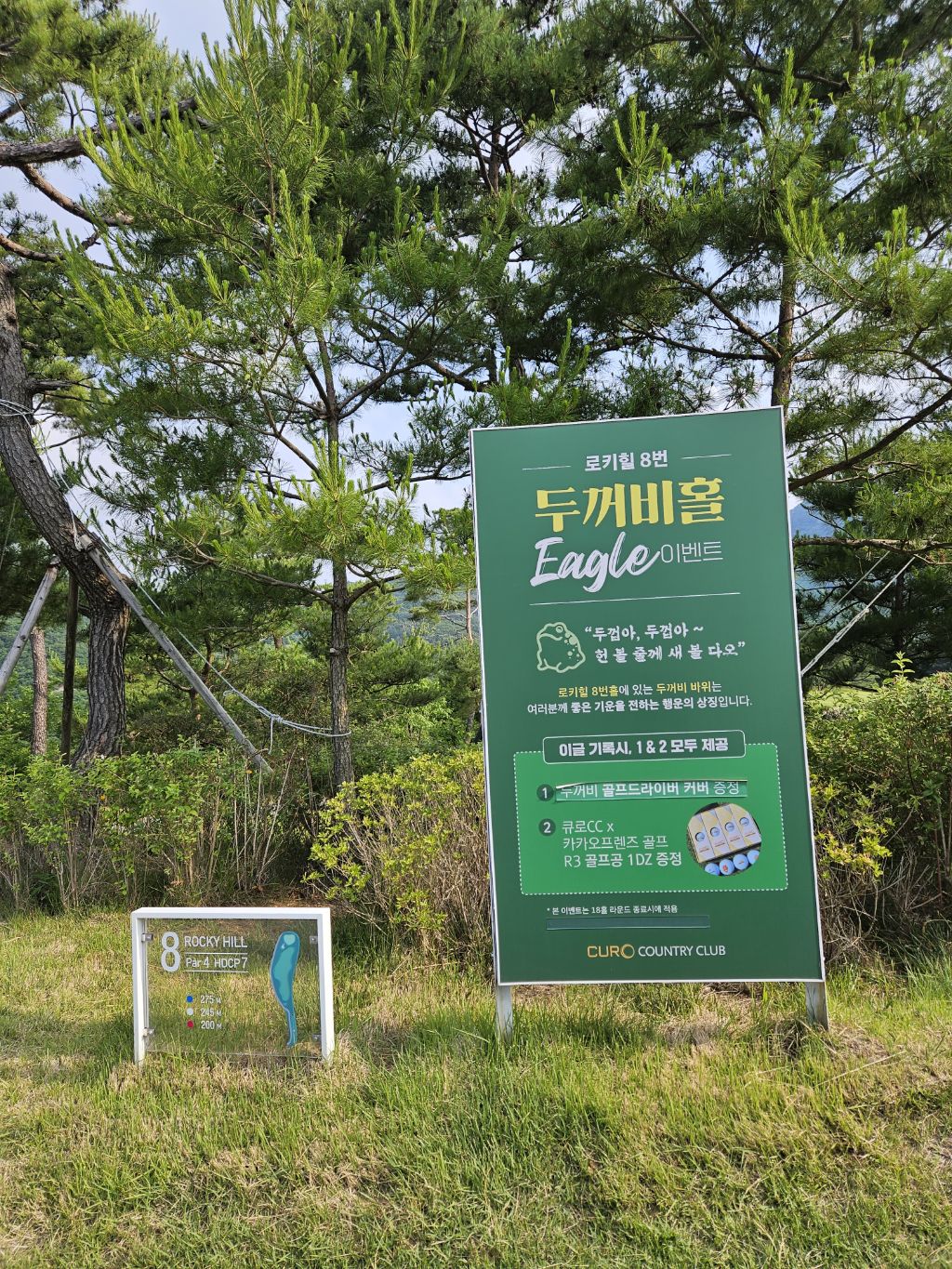 게시글 대표 이미지