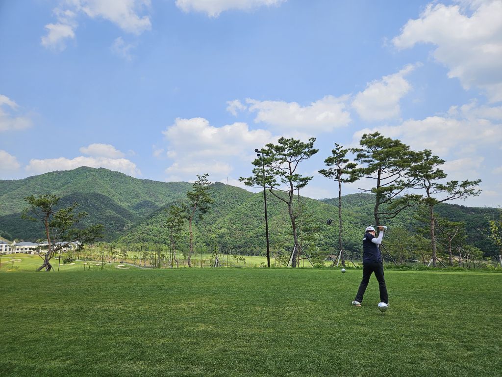 게시글 대표 이미지