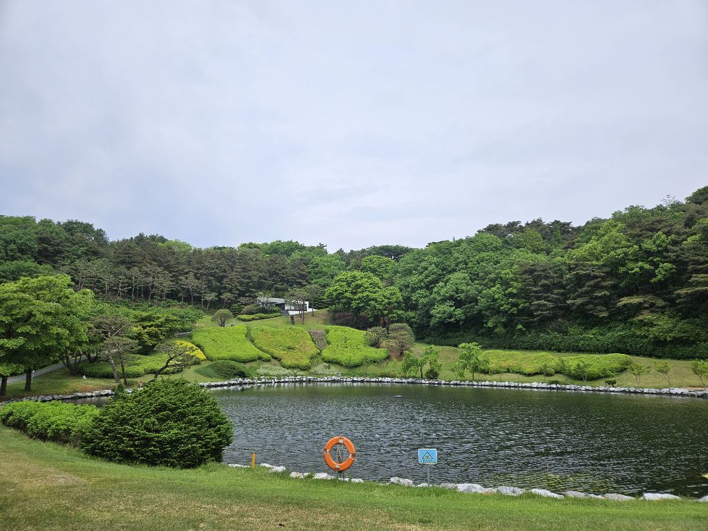 게시글 대표 이미지