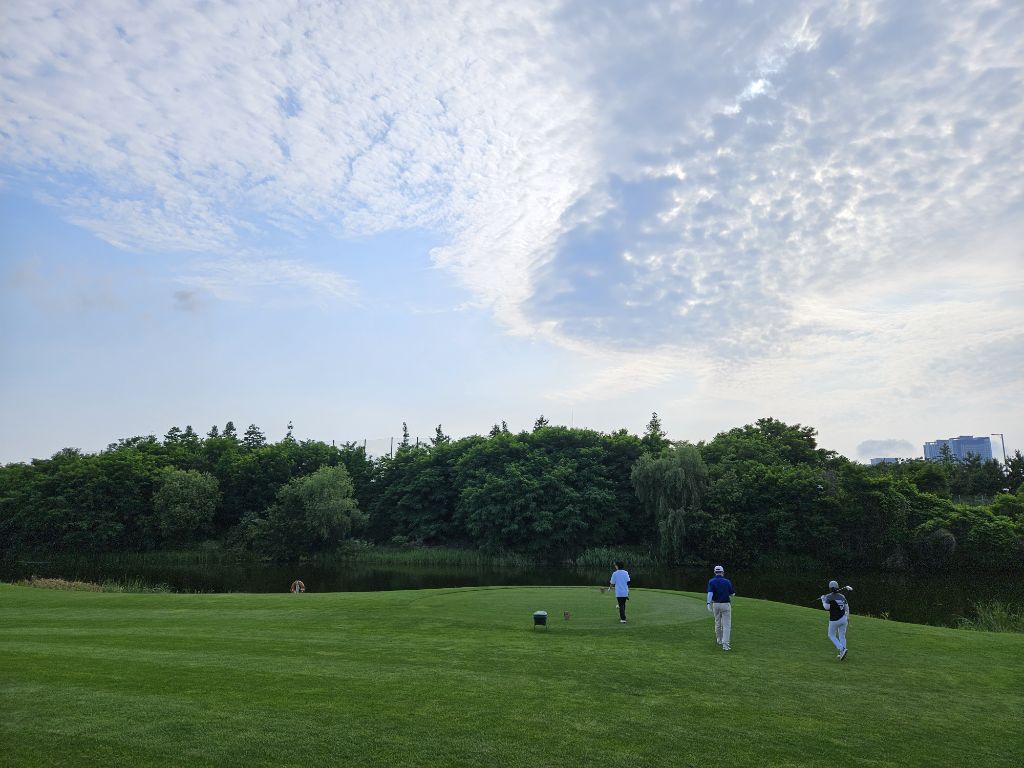 게시글 대표 이미지