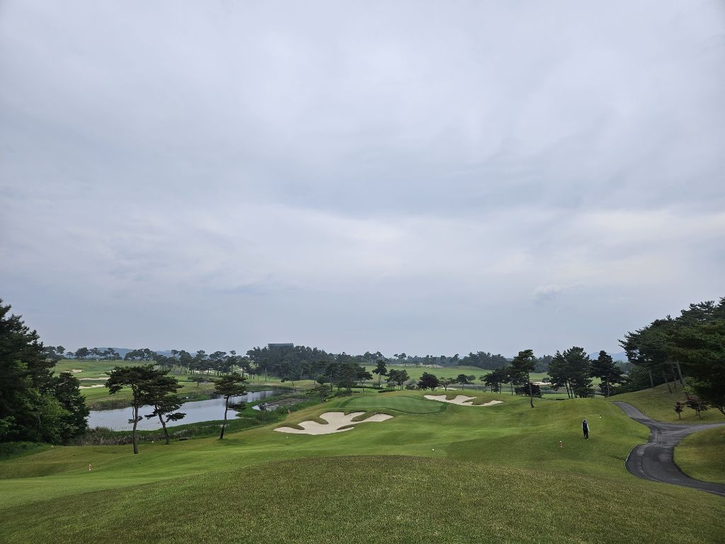 게시글 대표 이미지