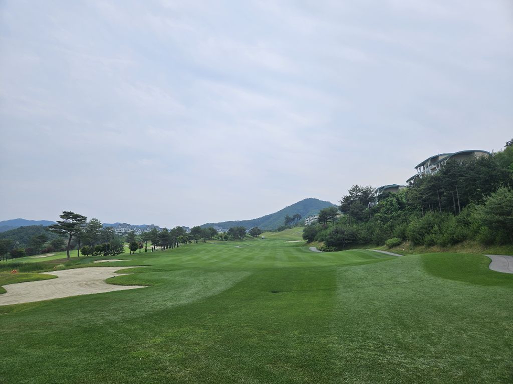 게시글 대표 이미지