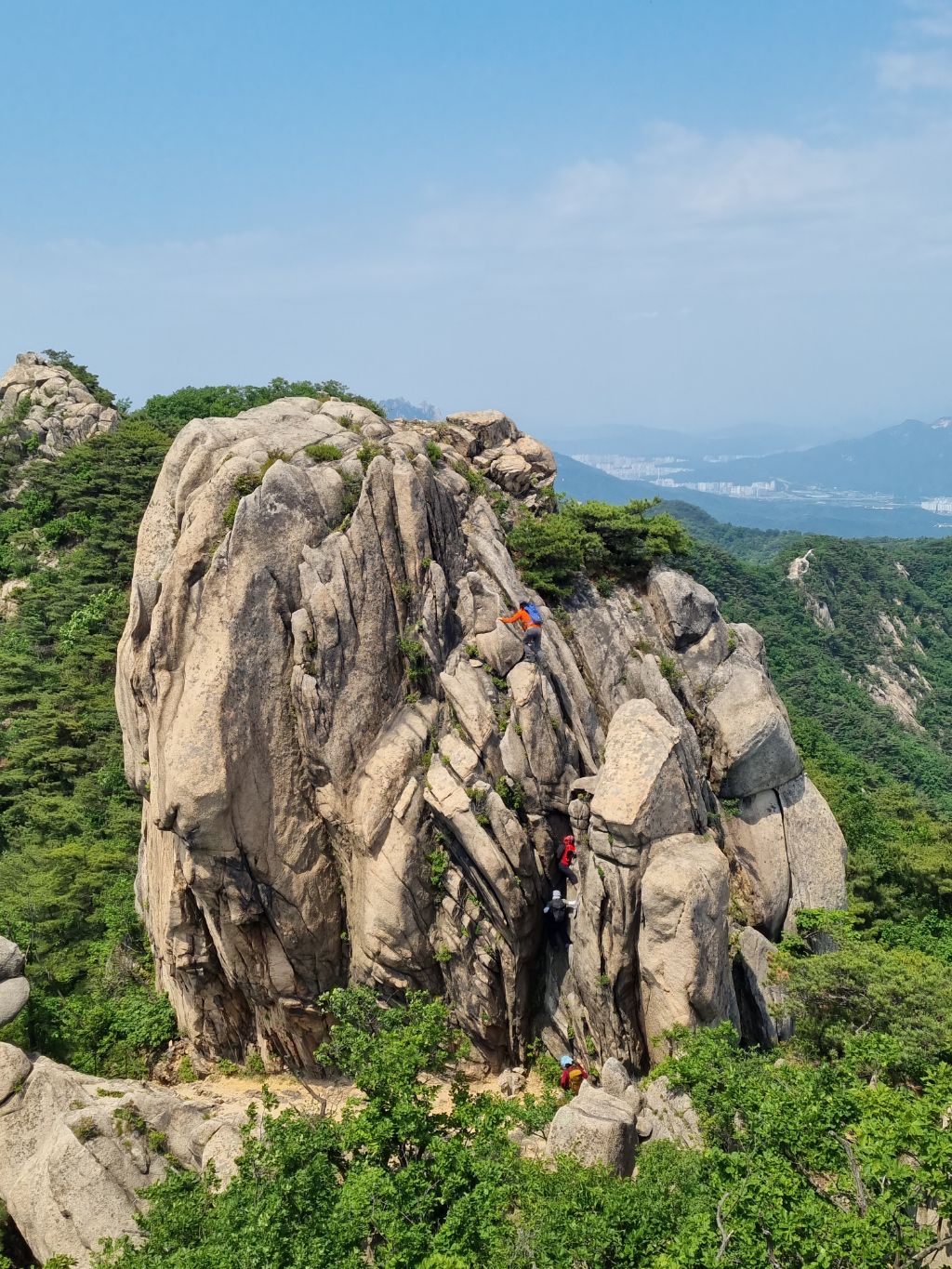 게시글 대표 이미지