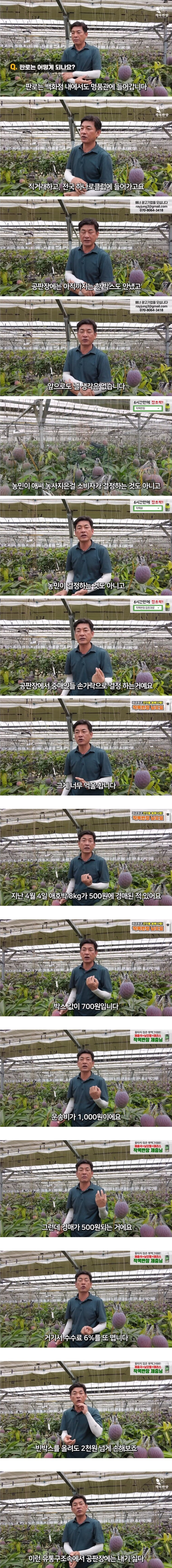 게시글 대표 이미지