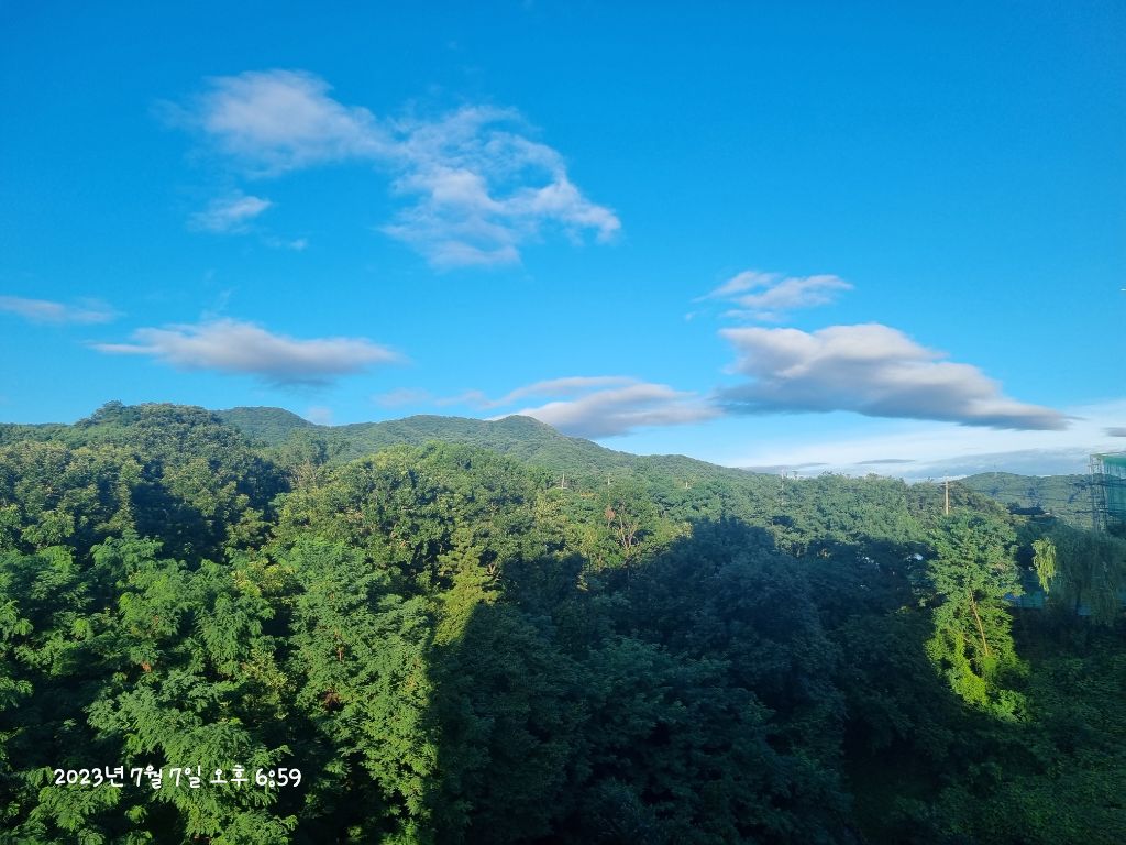 게시글 대표 이미지