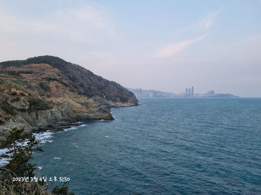 게시글 대표 이미지