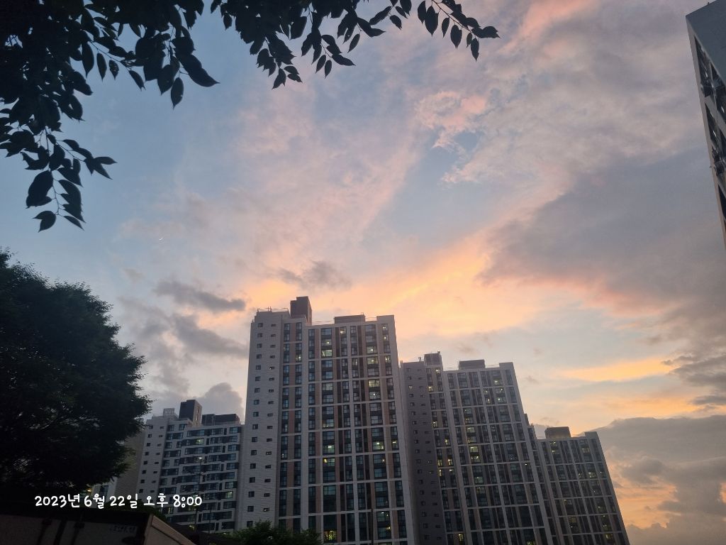 게시글 대표 이미지