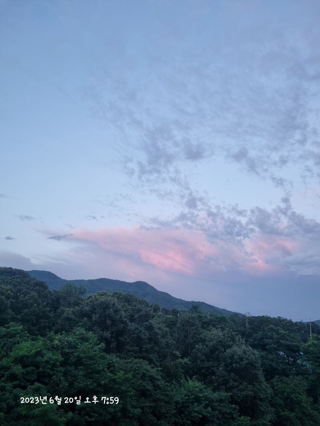 게시글 대표 이미지