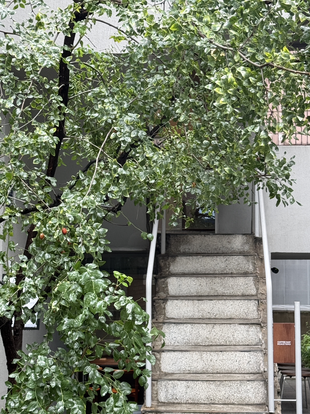 게시글 대표 이미지