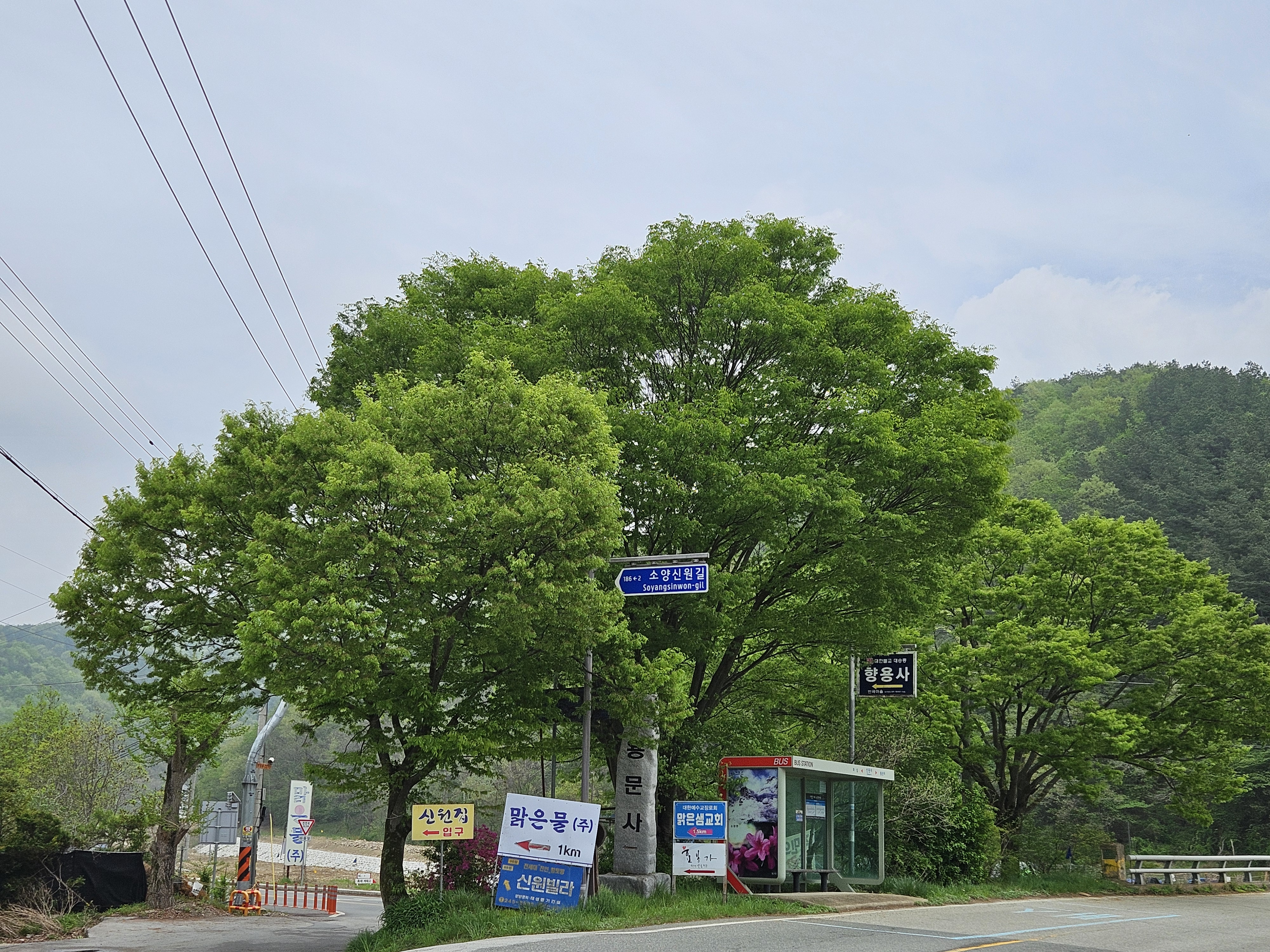 게시글 대표 이미지