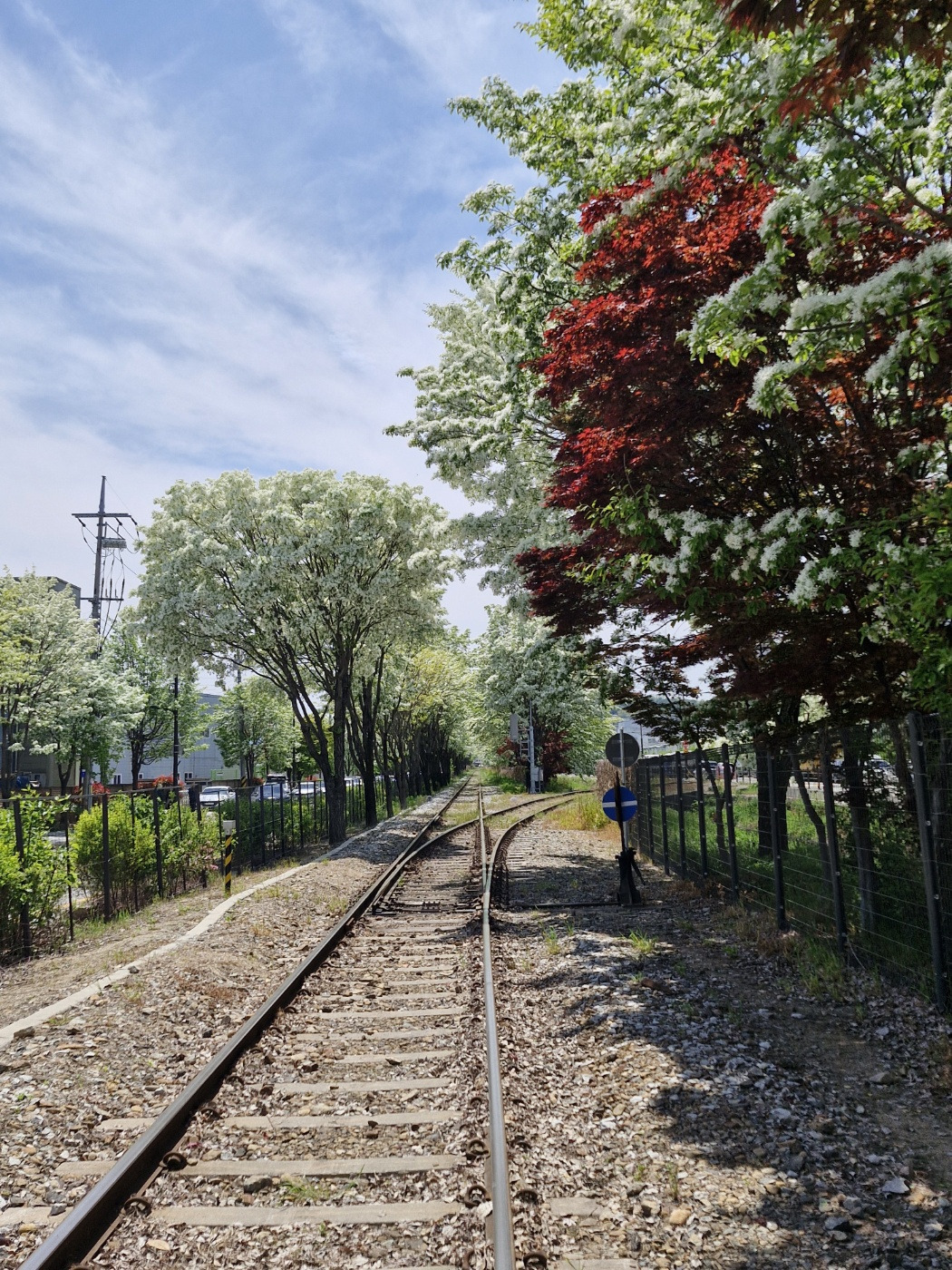 게시글 대표 이미지