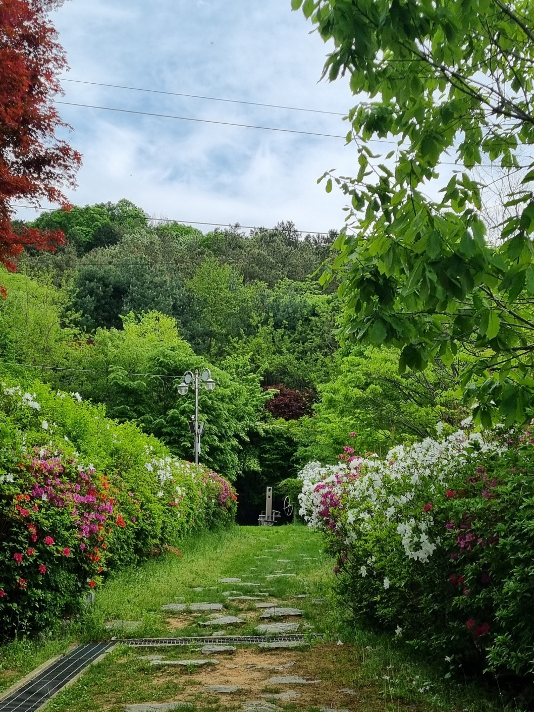 게시글 대표 이미지