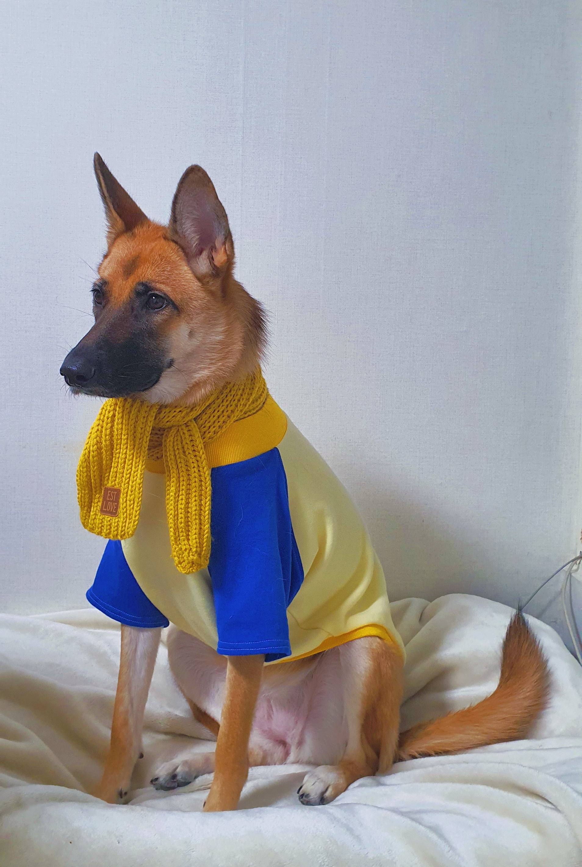 게시글 대표 이미지