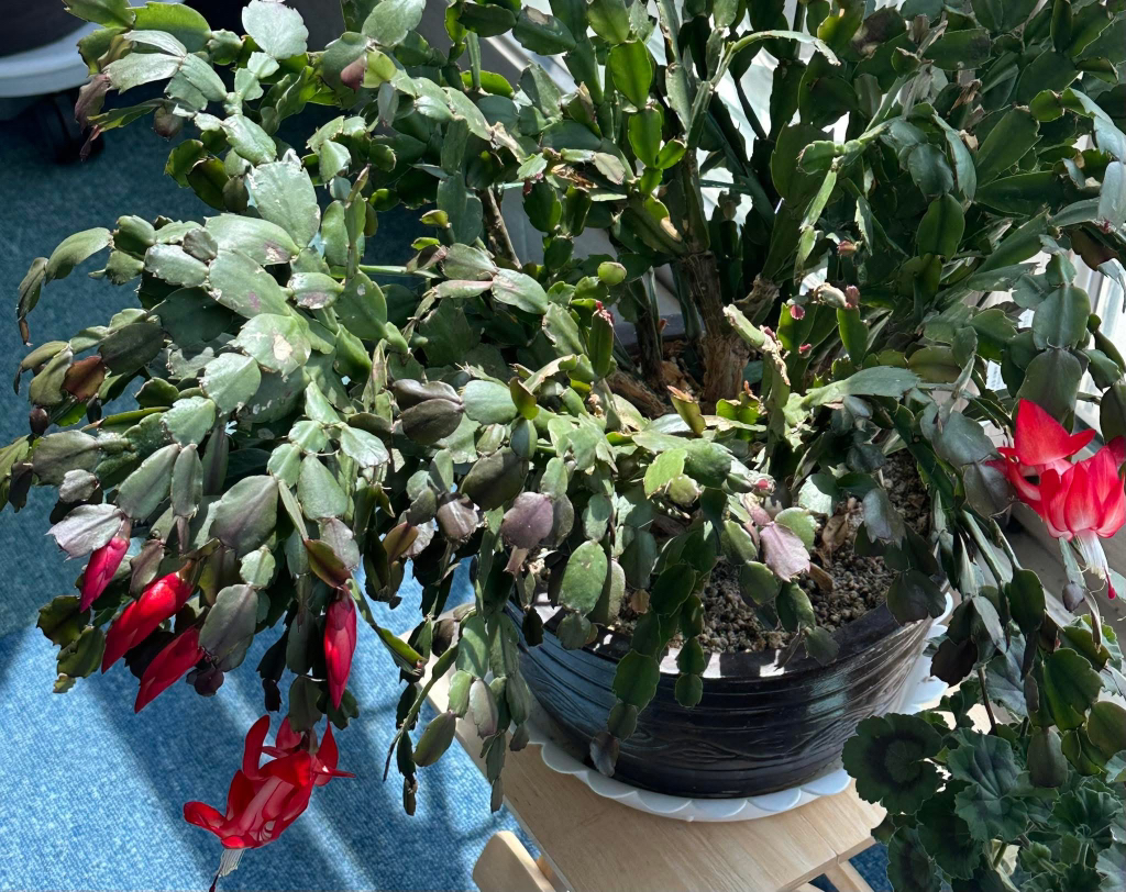 게시글 대표 이미지