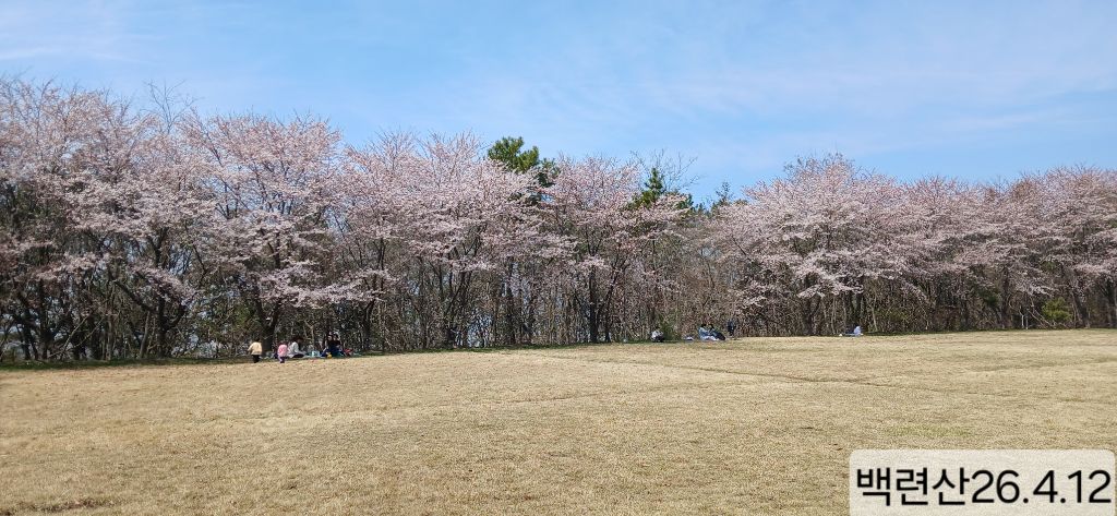 게시글 대표 이미지