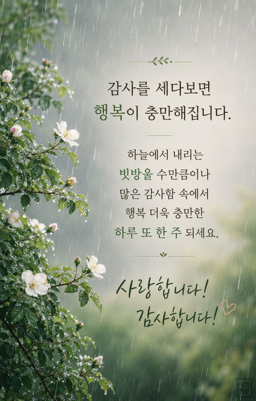 게시글 대표 이미지