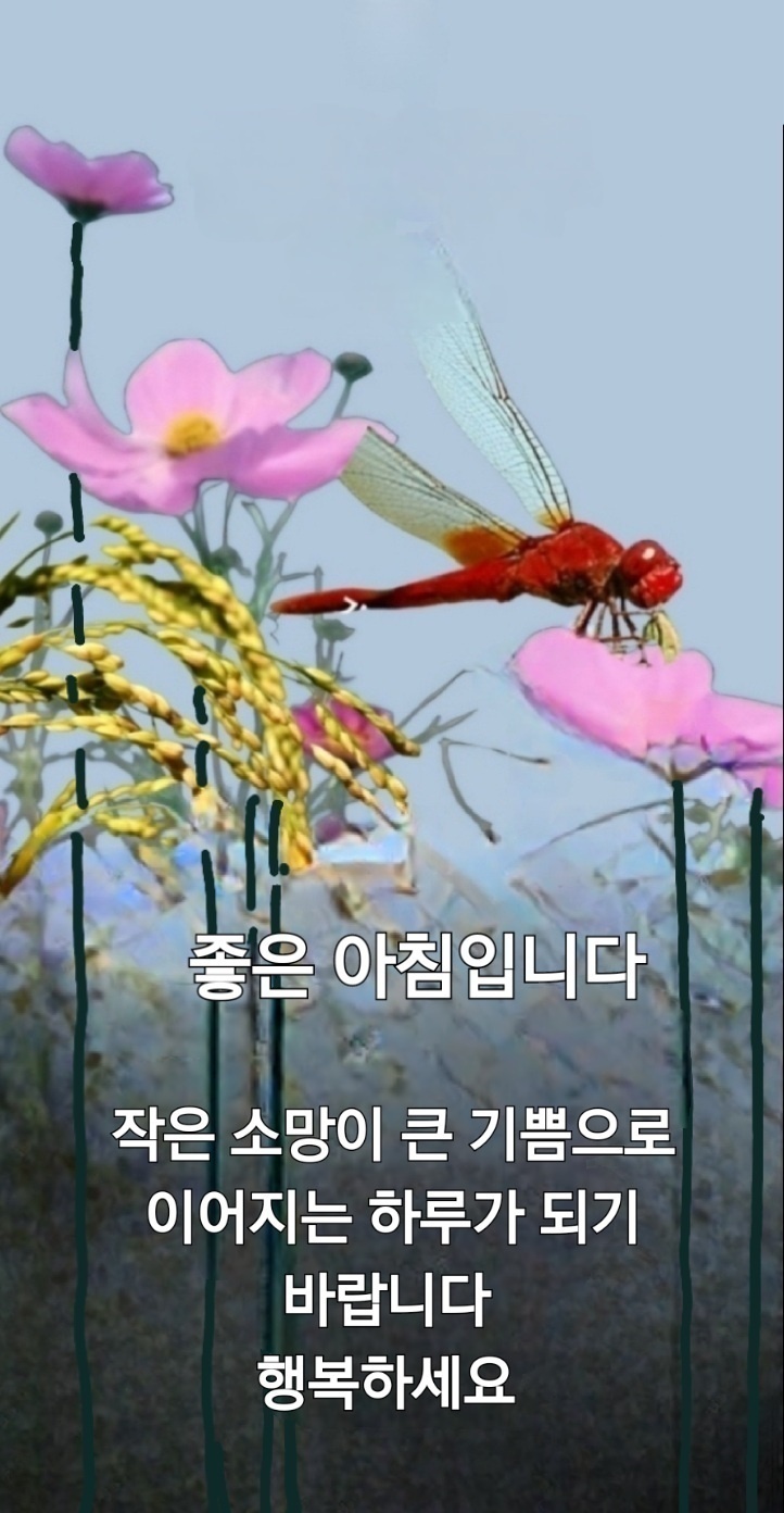 대표이미지
