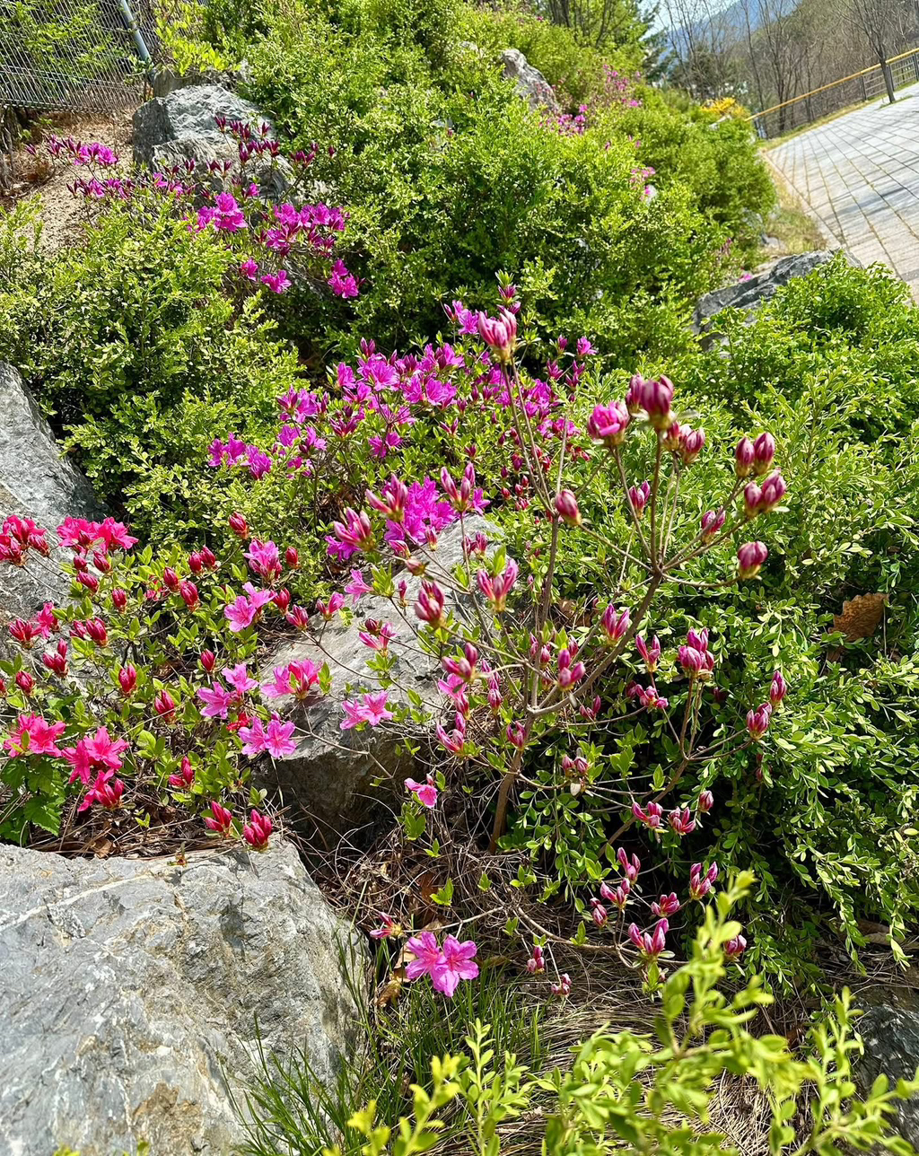 게시글 대표 이미지