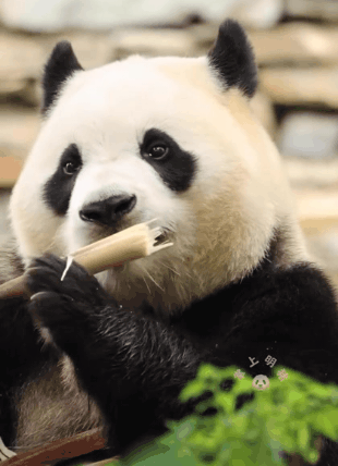 게시글 대표 이미지