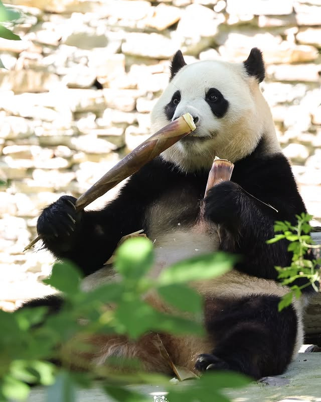 게시글 대표 이미지