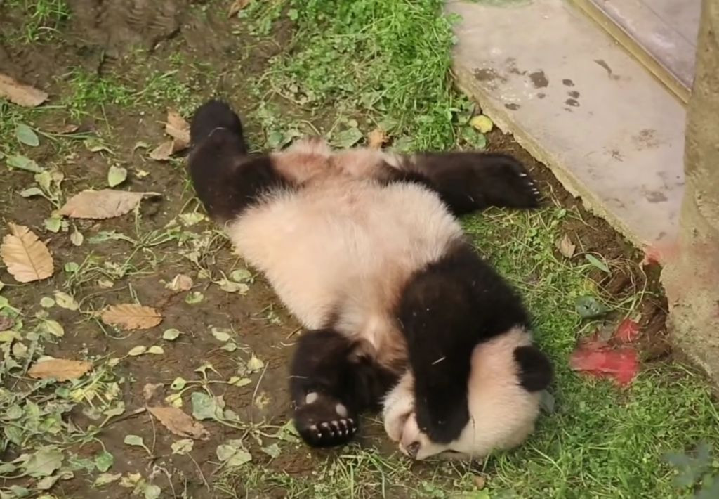 게시글 대표 이미지