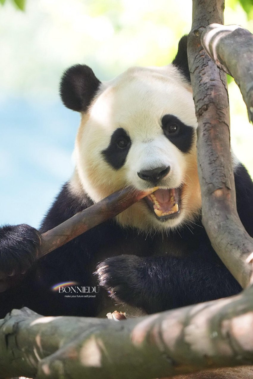 게시글 대표 이미지