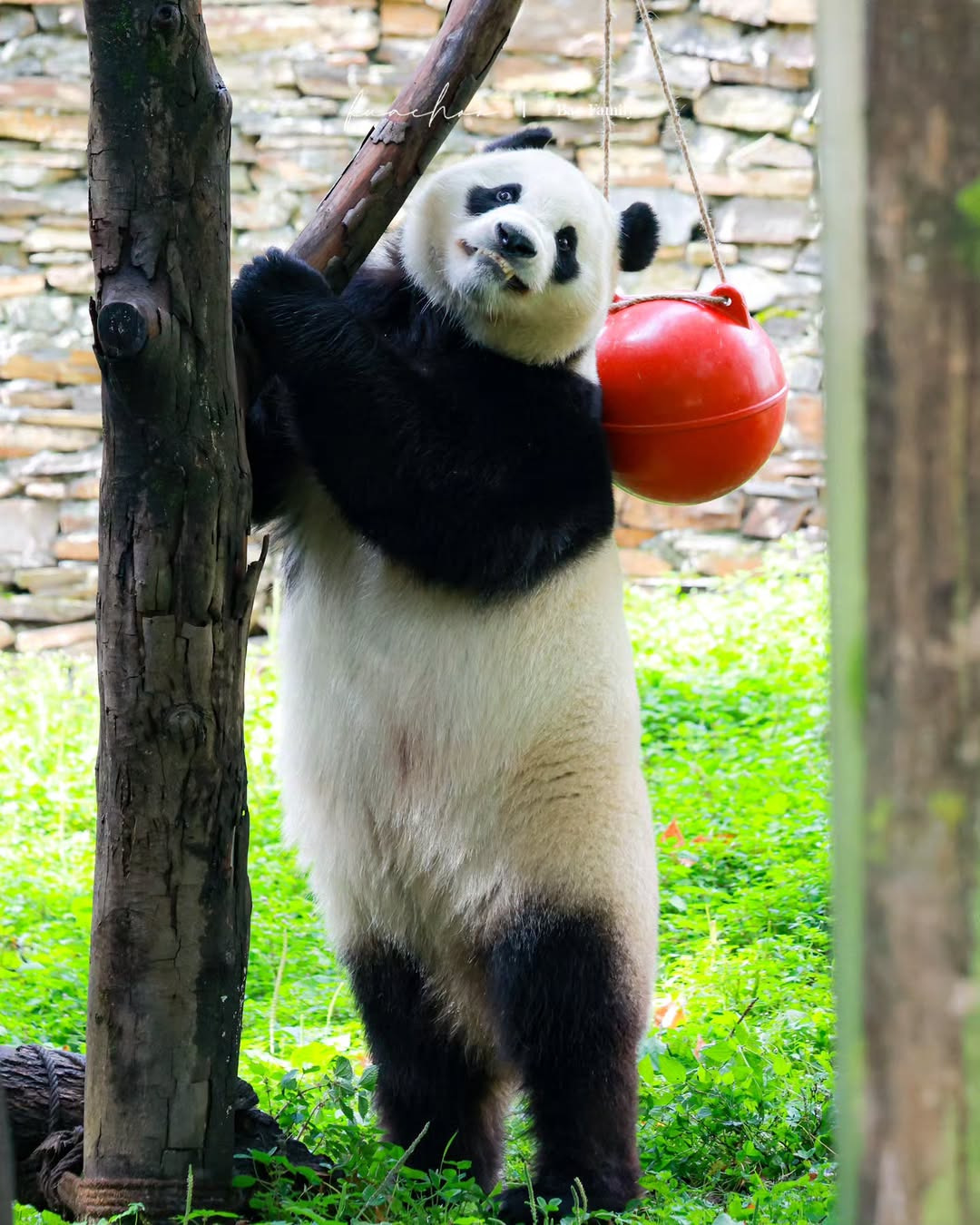 게시글 대표 이미지