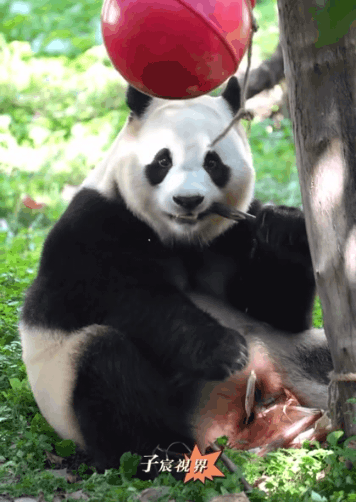 게시글 대표 이미지