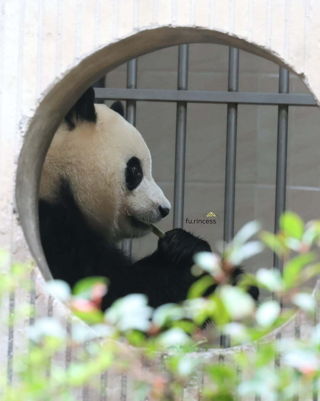 게시글 대표 이미지