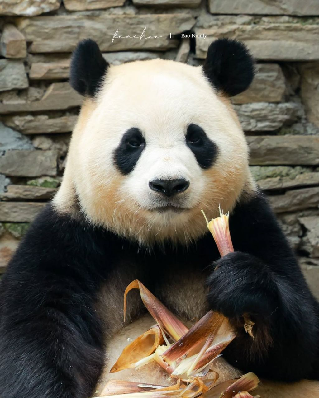 게시글 대표 이미지