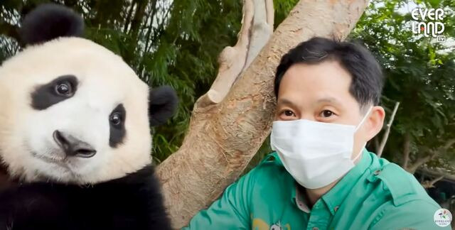 게시글 대표 이미지