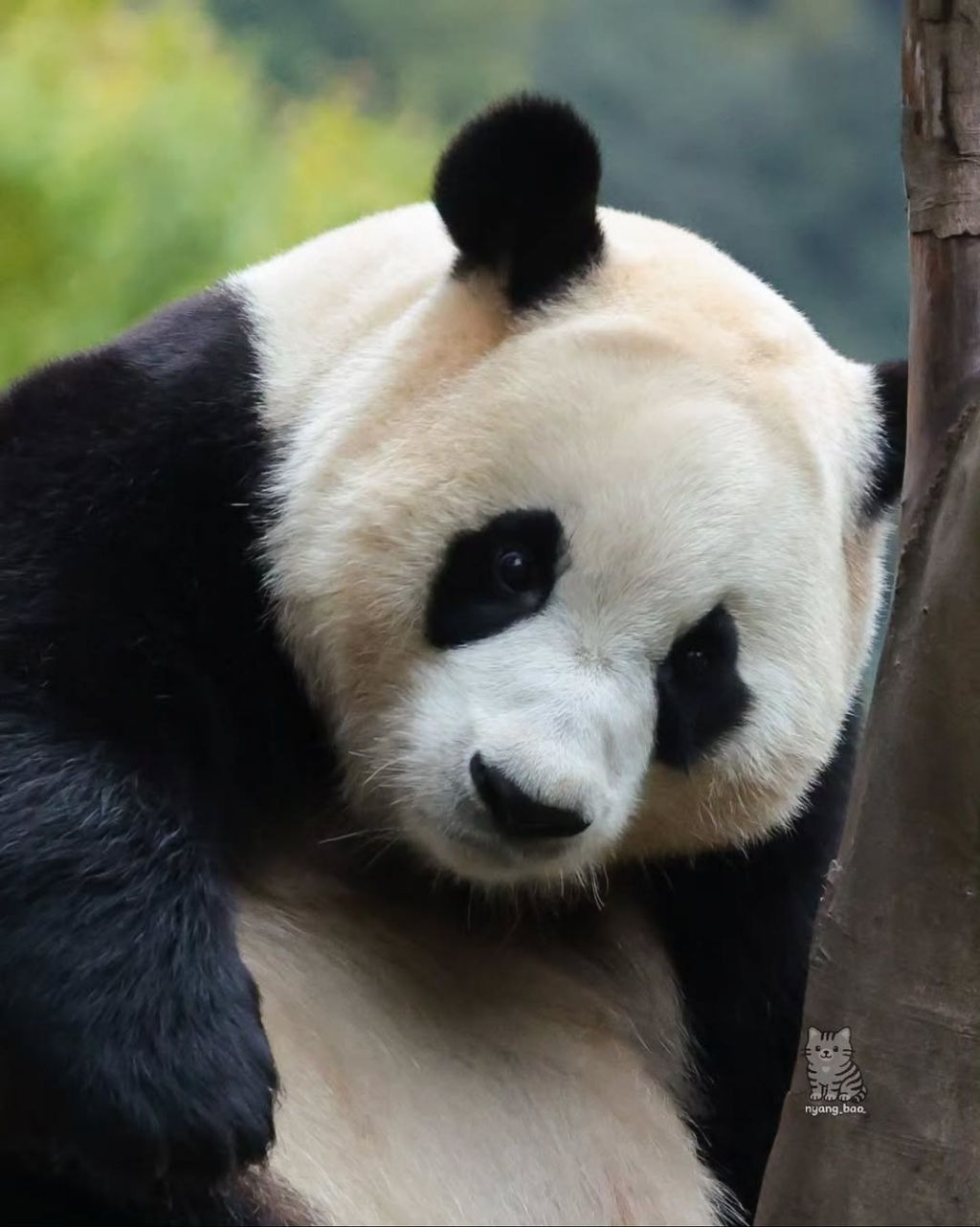 게시글 대표 이미지