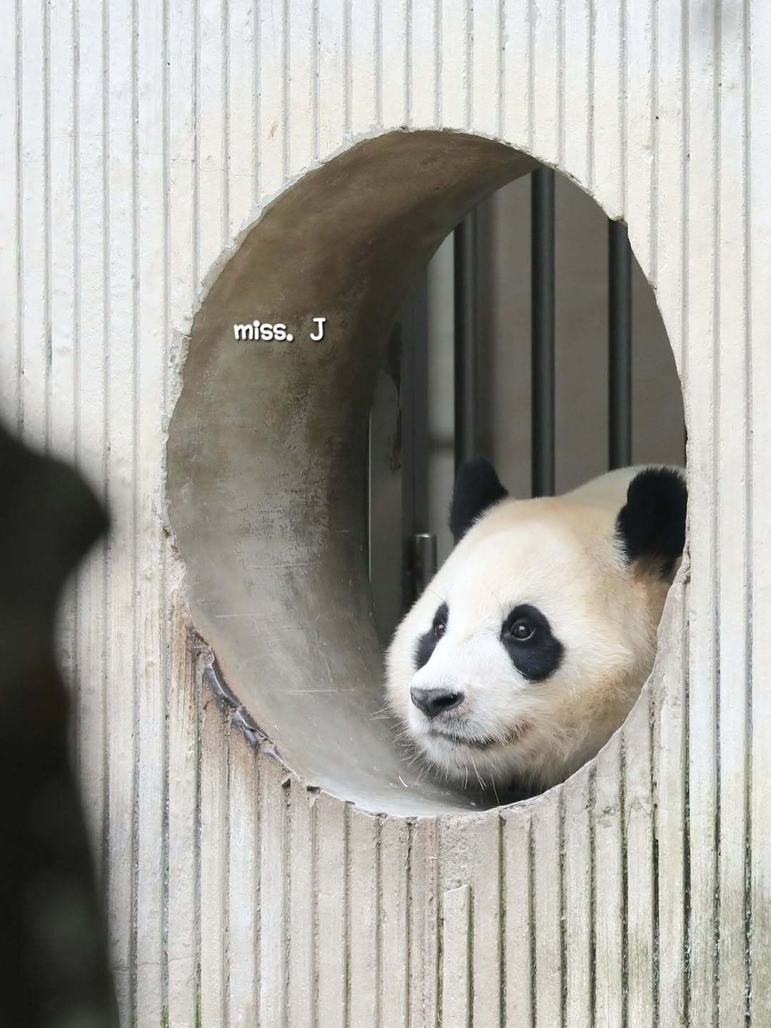 게시글 대표 이미지