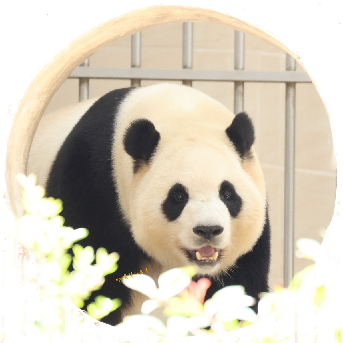 게시글 대표 이미지