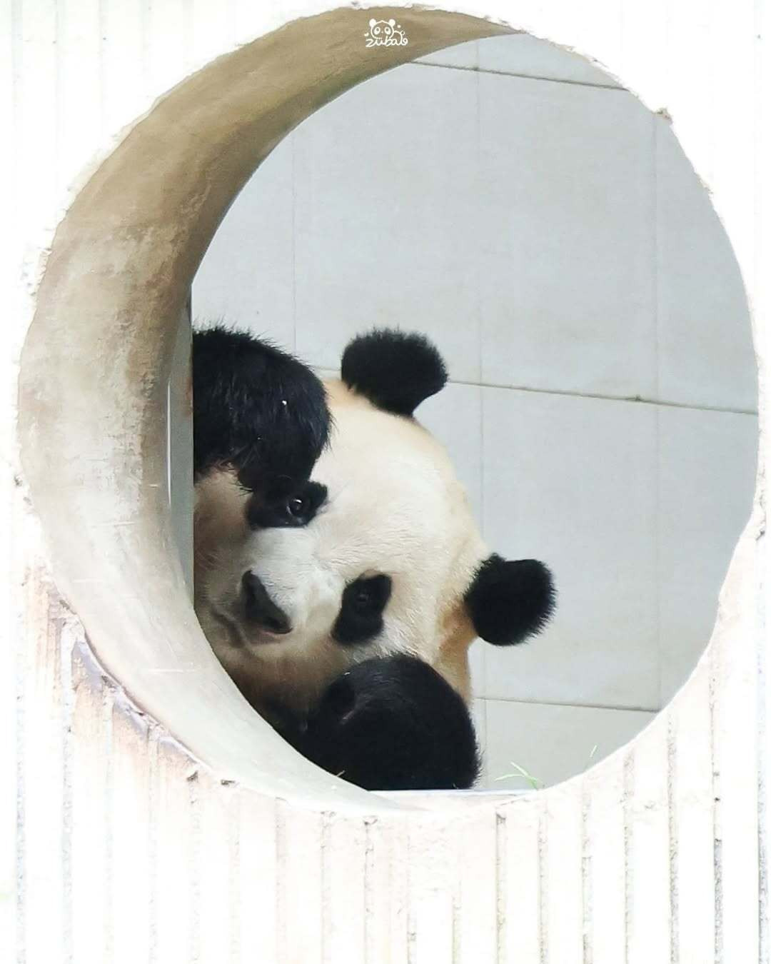 게시글 대표 이미지