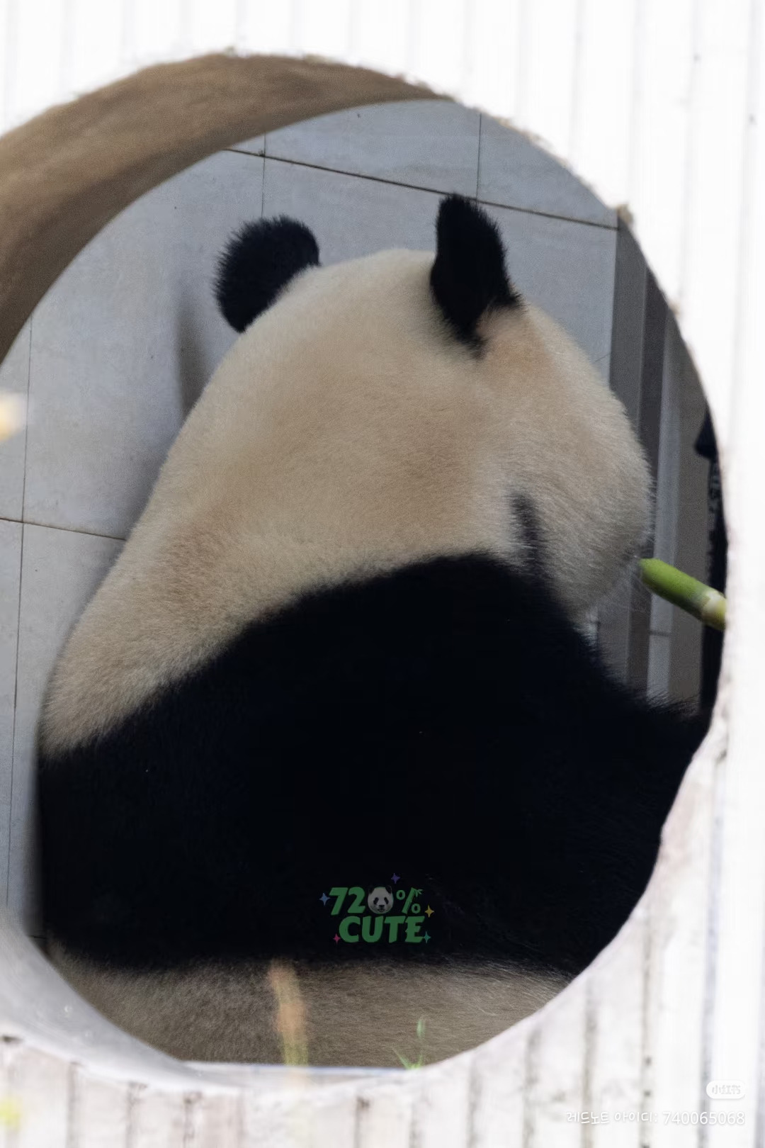 게시글 대표 이미지